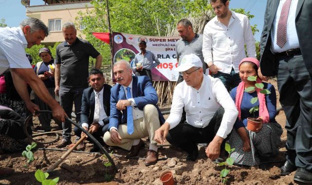 Mezitlili kadınlar aronya üretimi için ilk fidanları toprakla buluşturdu
