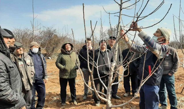 Mihalıççık'ta üreticilere budama eğitimi