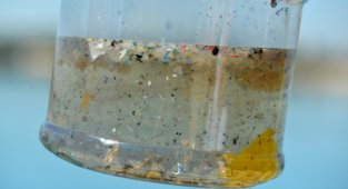 Mikroplastikler ilk kez yaşayan insanların akciğerlerinin derinliklerinde görüldü!