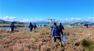 Milas’ta vektörle mücadele