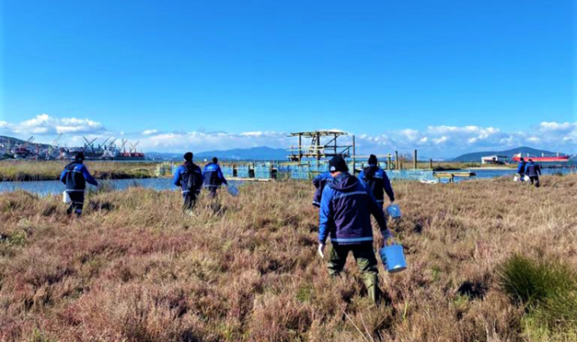 Milas’ta vektörle mücadele