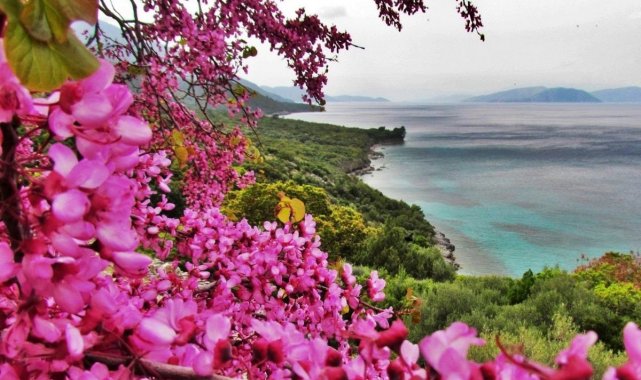 Milli Park&#039;ta yangın tehdidine karşı ortak bildiri