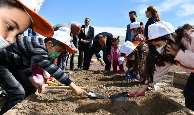 Minik eller tohumları toprakla buluşturdu