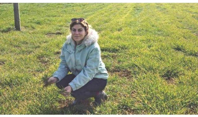 Müdür Özçalık: &quot;Hububatta üst gübrelemeyi iki defada yapmayı öneriyoruz&quot;