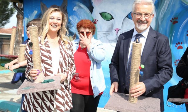 Nilüfer'de kedilere özel hizmet