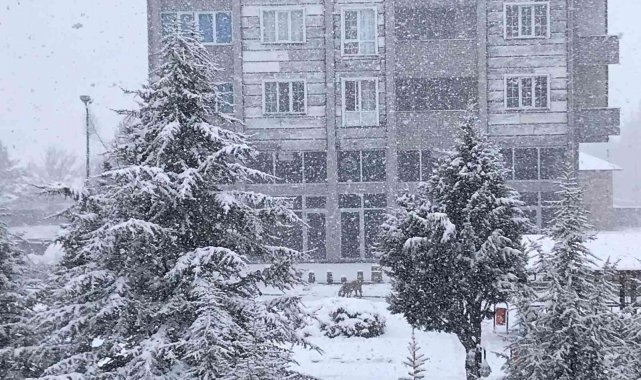 Nisan ayında Eflani ilçesi beyaz örtüyle kaplandı