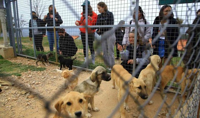 Öğrenciler Geçici Hayvan Bakımevini ziyaret etti