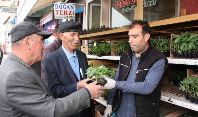 Oltu'da fide sezonu başladı