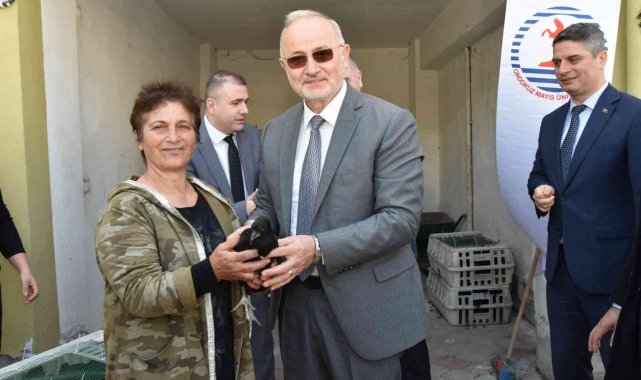 OMÜ projesiyle, Sinop Gerzeli çiftçilere 'Gerze tavuğu' dağıtıldı