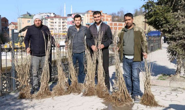 Ordu'da ipek böcekçiliği yaygınlaşıyor