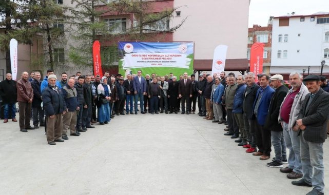 Ordu'da küçükbaş hayvan yetiştiriciliği gelişiyor