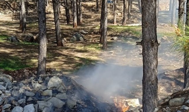 Ormanlık alanda çıkan yangın büyümeden söndürüldü