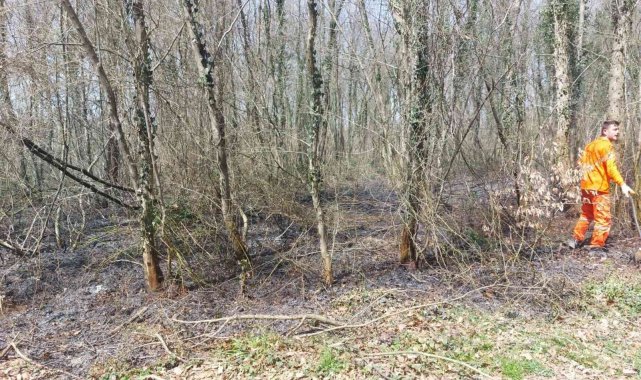 Ormanlık alanlarda çıkan yangın büyümeden söndürüldü