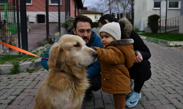 Osmangazi'de 78 can dost sıcak yuvaya kavuşturuldu