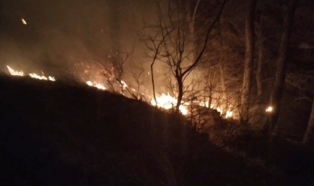 Osmaniye'de orman yangını