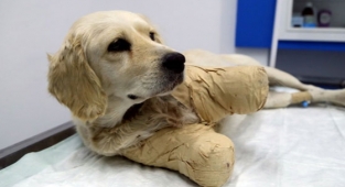 Pamuk'tan yeni görüntüler