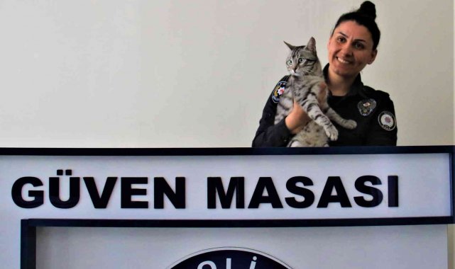 Polisin şefkati, kaza geçiren kediyi yaşama bağladı