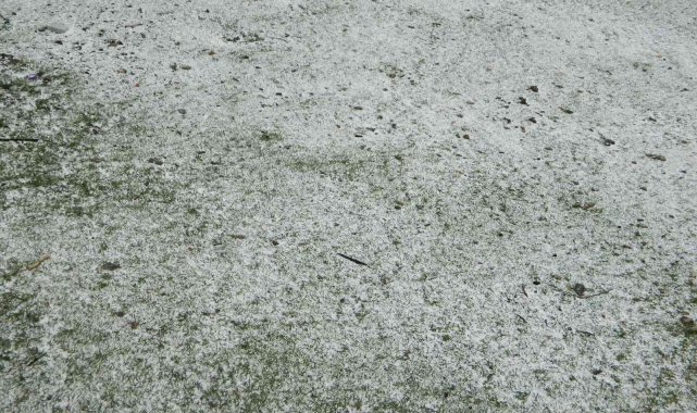 Posof yine beyaza büründü