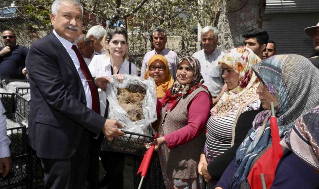 Pozantı'da 1 milyon 200 çilek fidesi dağıtıldı