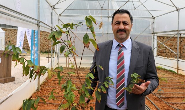 Prof. Dr. Ekrem Kalan: "Kahve Alanya'dan gelecek"