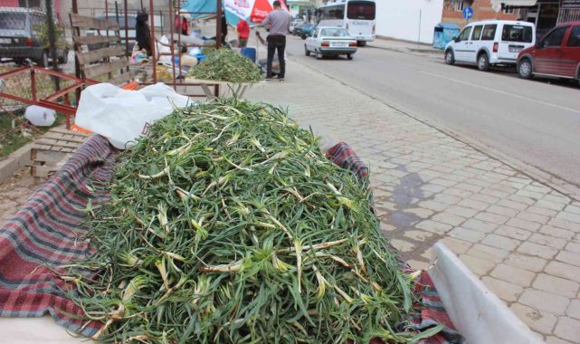 "Yemlik" pazardaki yerini aldı