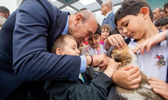 Sahipsiz dostlar İzmir'de emin ellerde