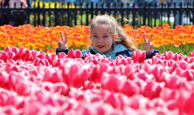 Samsun'da lale zamanı bu sene geç başladı