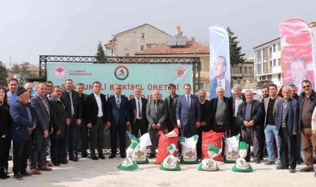 Samsun'da üreticiye patates ve kuru fasulye tohumluğu dağıtımı