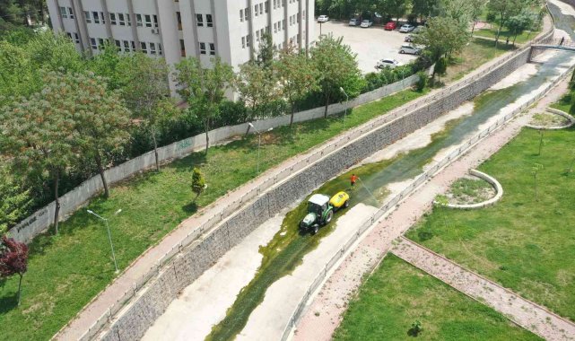 Şanlıurfa'da ilaçlama seferberliği