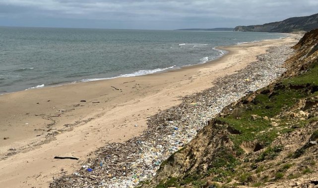 Sarıkum Tabiatı Koruma Alanı 'korunamıyor'