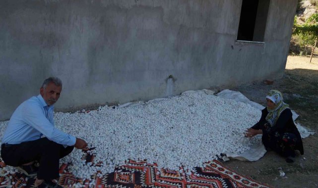 Sason&#039;da ipek böceği geliştirme toplantısı