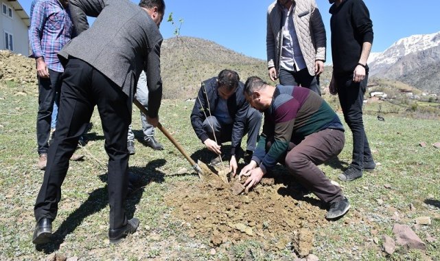 Sason'da ipek böcekçiliği geliştirme projesi dahilinde dut fidanı dikildi