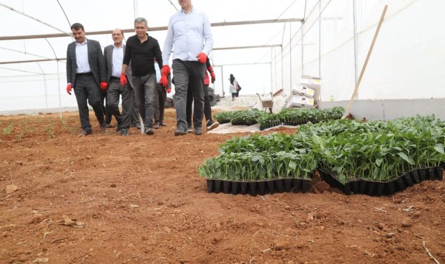 Sera kentte fideler toprakla buluştu