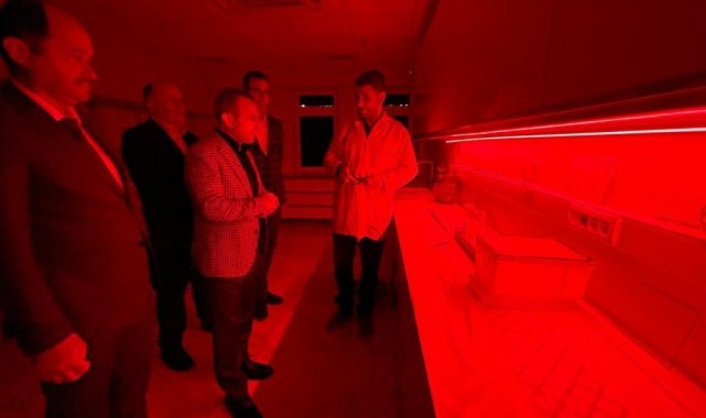 Seraların doğal işçisi bombus arısı, Ordu&#039;da üretiliyor