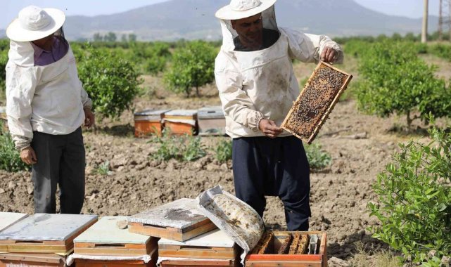 Sertifikalı kursiyerler hibe arı ile üretime başladı