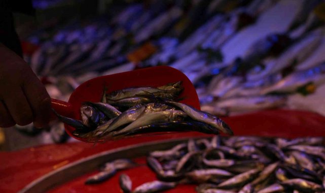 Sezonun son balıkları tezgâhlarda