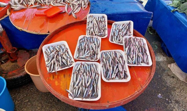 Sezonun son hamsileri 30 liradan satıldı