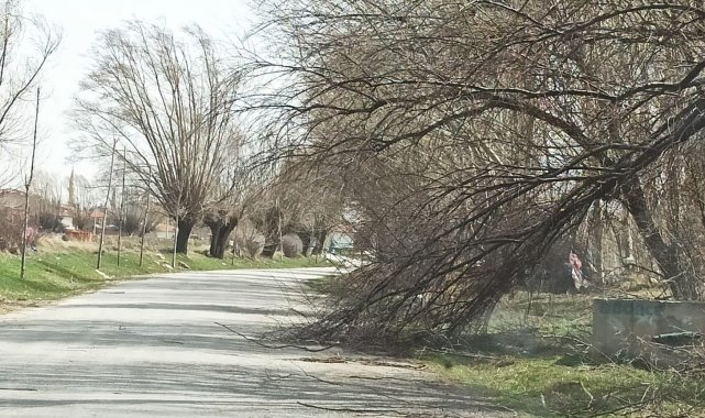 Şiddetli rüzgar Afyonkarahisar'da hayatı olumsuz etkiledi