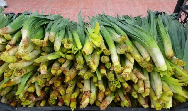 Şifa kaynağı 'Çiriş' otu tezgahlardaki yerini aldı