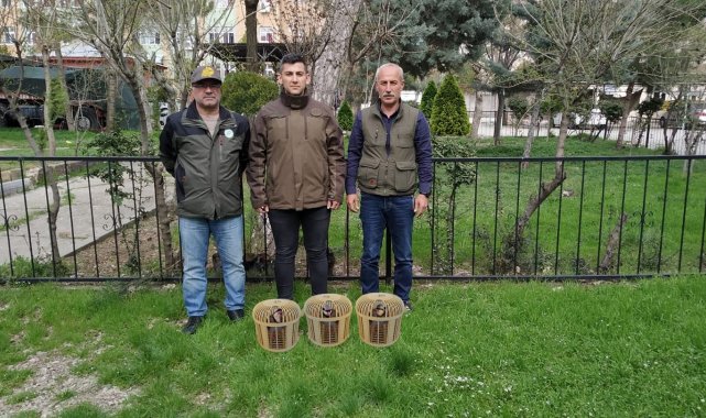 Siirt'te kaçak avcılara para cezası