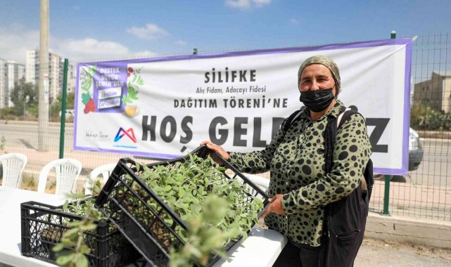 Silifke'de üreticilere alıç ve adaçayı fidesi dağıtıldı