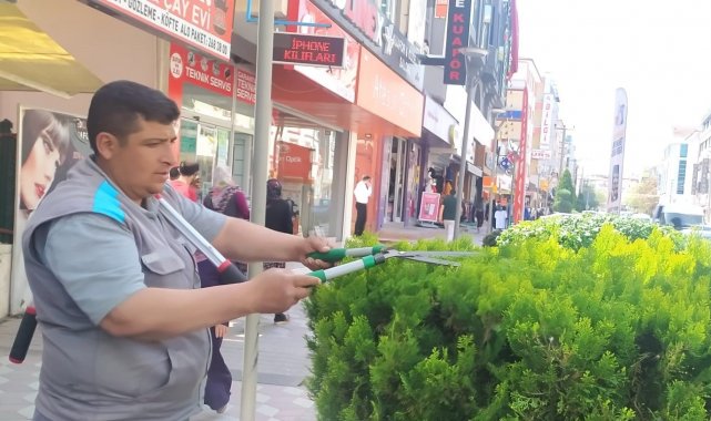 Sincan&#039;da ağaçlar budanıyor, çocuk oyun alanlarının gerekli bakımları yapılıyor