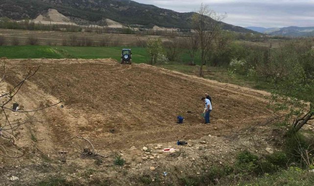 Sinop'a Antep fıstığı