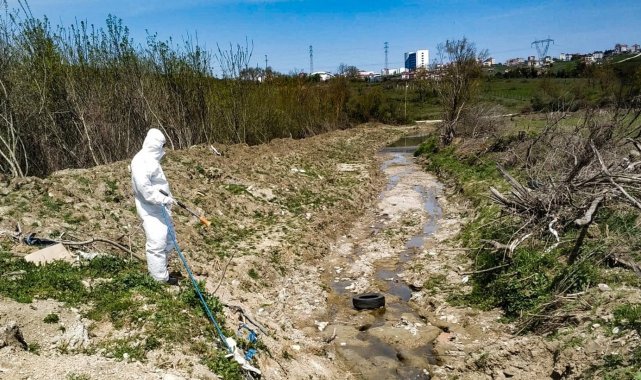 Sinop'ta ilaçlama çalışması