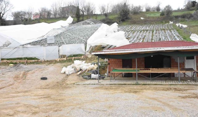 Sinop&#039;ta şiddetli fırtınada çilek serası yıkıldı
