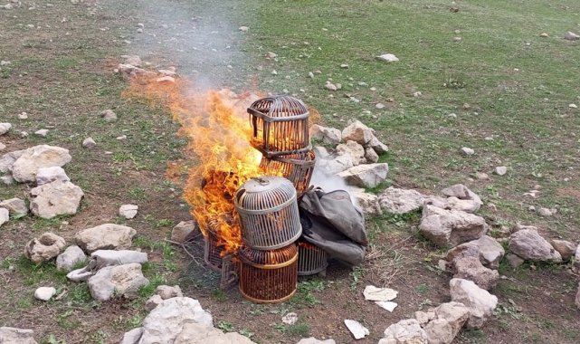 Şırnak'ta kınalı keklikler doğaya bırakıldı, kafesleri yakıldı
