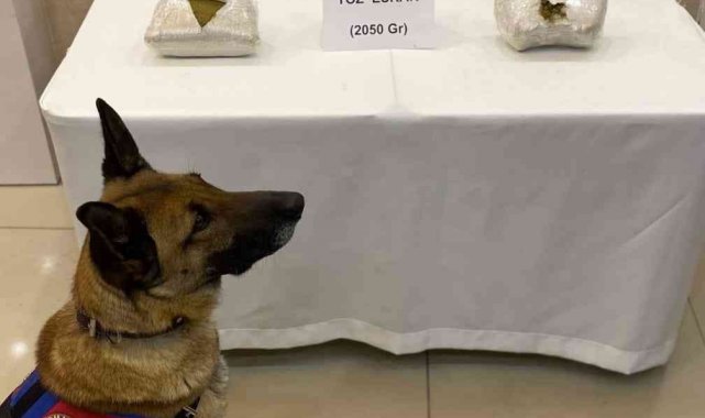 Sivas&#039;ta 2 kilo toz esrar ele geçirildi