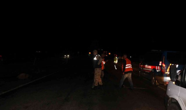 Siverek'te tanker koyun sürüsüne daldı: 22 koyun telef oldu, çoban yaralandı