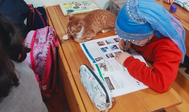 Soğuktan donmak üzereyken bulundu, okulun maskotu oldu