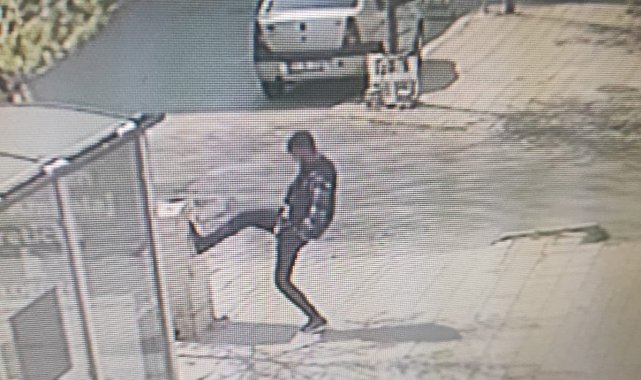 Sokak magandası, elektrik panosunu bir tekmede devirdi